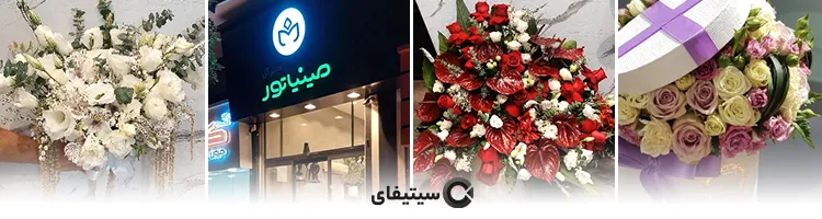 هایپر گل مینیاتور