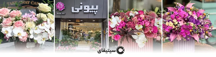 گل فروشی پیونی
