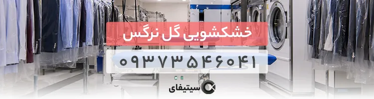 خشکشویی گل نرگس