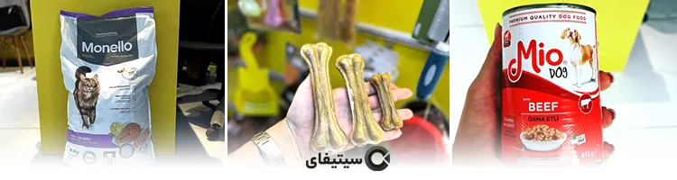 دکترپت