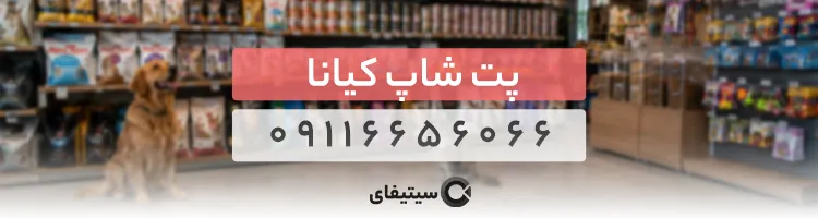 پت شاپ کیانا