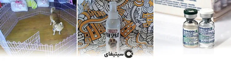پت شاپ پارسه