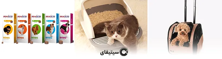 سولوپت