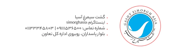 SIMORQ