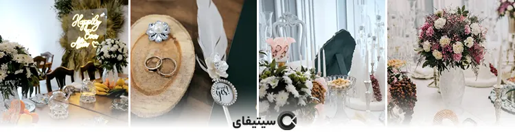 نبات