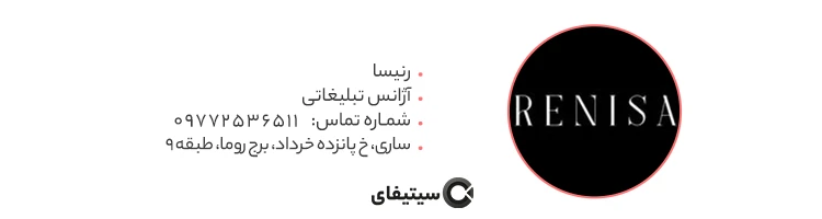 رنیسا بهترین شرکت طراحی سایت در ساری